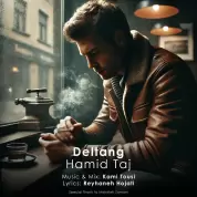 Hamid Taj – Deltang