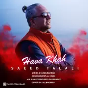 Saeed Talaei – Hava Khah