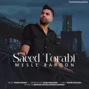 Saeed Torabi – Mesle Baroon