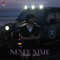 Mahyar Amiri – Nesfe Nime