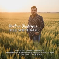 Morteza Shahryari – Dele Sheydaayi