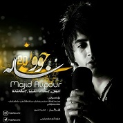 Majid Alipour – Javoniyeh 20 Sale