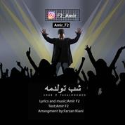 Amir F2 – Shabe Tavalodameh