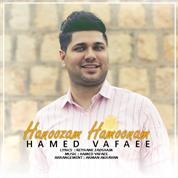 Hamed Vafaee – Hanoozam Hamoonam