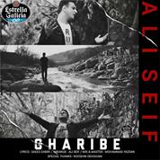 Ali Seif – Gharibe