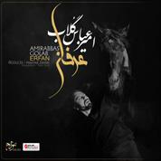 Amirabbas Golab – Erfan