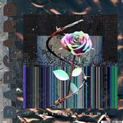 Amir Naseri – Bargard