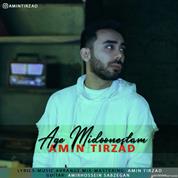 Amin Tirzad – Age Midoonestam