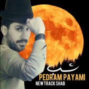 Pedram Payami – Shab