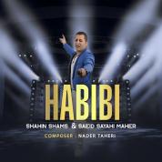 Shahin Shams – Habibi (Ft Saeid Sayahi Maher)