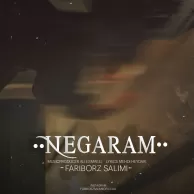 Fariborz Salimi – Negaram