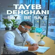 Tayeb Dehghani – Saye Be Saye