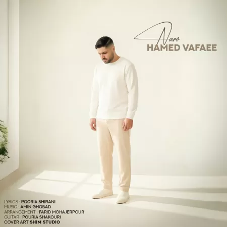 Hamed Vafaee – Naro Hamed Vafaee – Naro