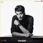 Shaheen Shapouree – Siyah Bisheh