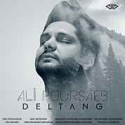Ali Poursaeb – Deltang