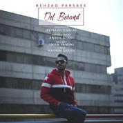 Behzad Parsaee – Del Beband