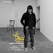 Mojtaba Delzendeh – Tanhaei