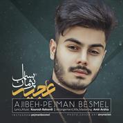 Pejman Besmel – Ajibe
