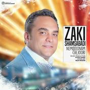 Zaki Shams Abadi – Nemidoonam Chejoori