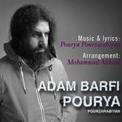 Pourya Pourzarabiyan – Adam Barfi