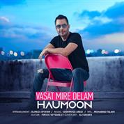 Haumoon – Vasat Mire Delam Haumoon – Vasat Mire Delam