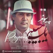 Peyvand – Ya Habibi