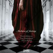 Pouria Akhavas – Madness Of Fantasy