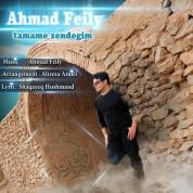 Ahmad Feily – Madar