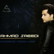 Ahmad Saeedi – Khodamo Yadam Mire