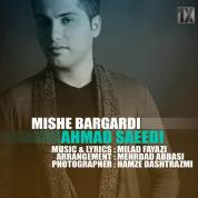 Ahmad Saeedi – Mishe Bargardi