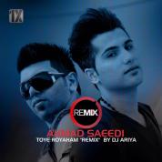 Ahmad Saeedi – Tooye Royaham (DJ Ariya Remix)
