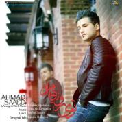 Ahmad Saeedi – Toye Royaham (Kawoos Hosseini Remix)