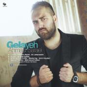 Ahmad Safaei – Gelayeh
