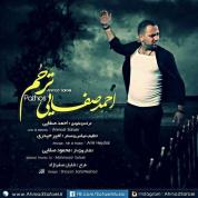 Ahmad Safaei – Tarahoom