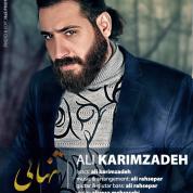 Ali Karim Zadeh – Tanhaei
