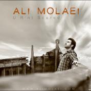 Ali Molaei – To Nemitarsi