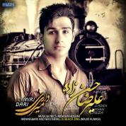 Alireza Hasanzadeh – Dari Miri