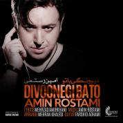 Amin Rostami – Divoonegi Ba To
