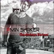 Amin Shaker – Cheshmhaye Barooni