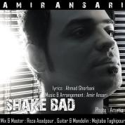Amir Ansari – Shake Bad