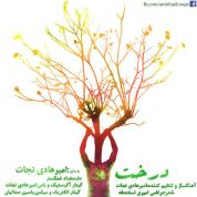 Amir Hadi Nejat – Derakht