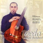 Amir Heydari – Veda