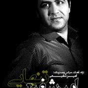 Amir Shafiei – Tanhaei