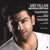 Aref Fallahi – Mehraboone Man