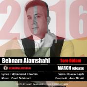 Behnam Alamshahi – Toro Didam