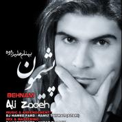 Behnam Alizadeh – Pashimoon