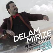 Behrooz Sektor – Delam Mirize