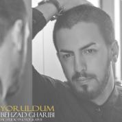 Behzad Gharibi – Yoruldum