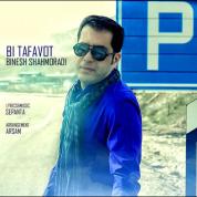 Binesh Shahmoradi – Bi Tafavot