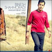 Binesh Shahmoradi – Havasam Behet Hast (New Version)